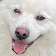 Wilma's Avatar