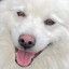 Wilma's Avatar