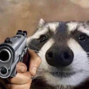 Comrade Raccoon