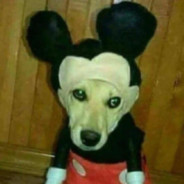 SpencerRG
