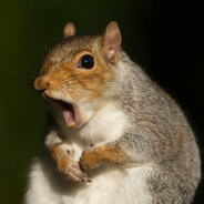 aaaaaaaaaaaaaa