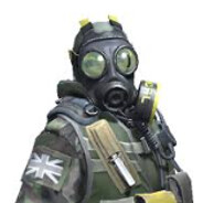 Bot Rip
