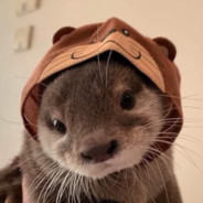 hi guys