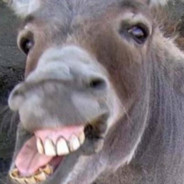 StianOvrevage's Avatar