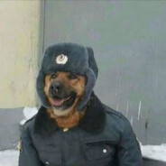 DeJank
