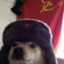 El Perro Sovietico