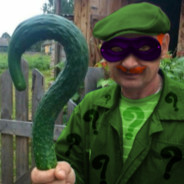 MR.RIDDLER