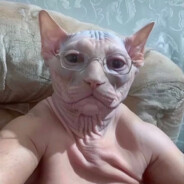 коранбейби