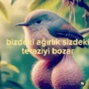 zye