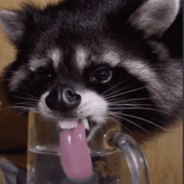FunnyRaccoonMan
