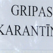 Karantins