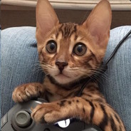 BabyCat6