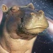 Skeptical Hippo