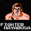 Fighter Hayabusa