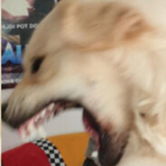𝓛𝓾𝓬𝓴𝔂 ♥