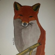 vlayx