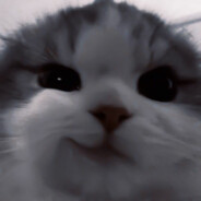 ăn cơm cái lồn mẹ mày