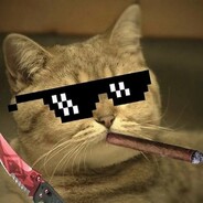 Pimp
