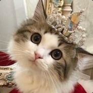Catalie - steam id 76561197961737720