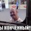Самые конченые картинки