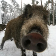 Hakuna x Makros#BlagoRust