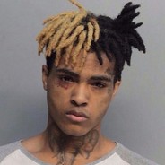 qual the koill legit