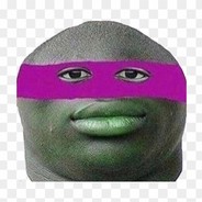 Kooi