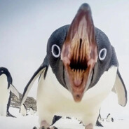 Freaky Penguin
