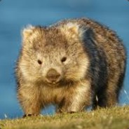 Trial By Wombat avatar