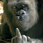 big monkey