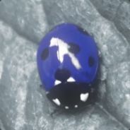 changetheinevitable