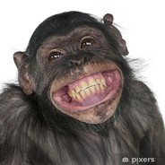 MonkeyBoy#2