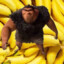 the giver of potassium