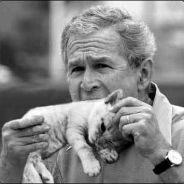 vanRichthofen's Avatar