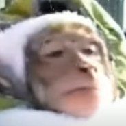 Qwertunio