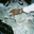 Group Avatar