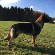 123 - steam id 76561197965058768