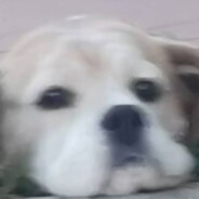 MajorG0D