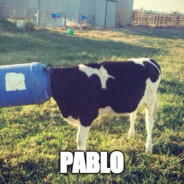 PabloMitDer1731's Avatar