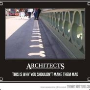 The moneyshot's Avatar