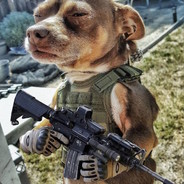 KangaWallaFox