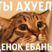 Трипер