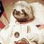Astronautical Sloth
