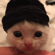 niKi4iNo