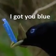 I got you blue