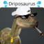 Driposaurus