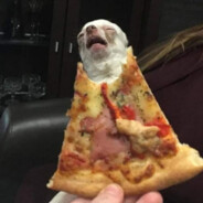 pizzalars