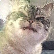 21 21 21