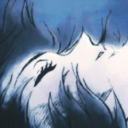 GrayFox