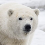 BiPolarBear